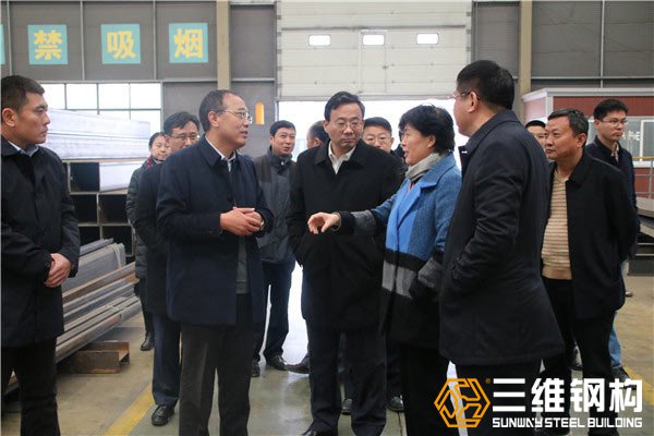 棗莊副市長霍媛媛,滕州市委書記邵士官蒞臨檢查